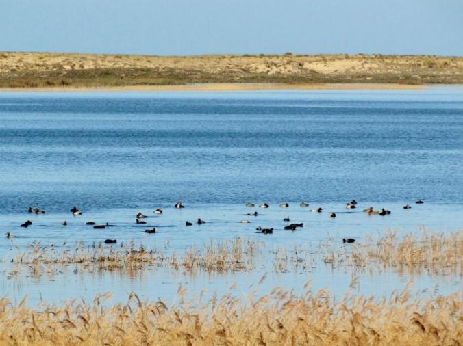 La Gallega Valdoviño Dış mekan fotoğraf